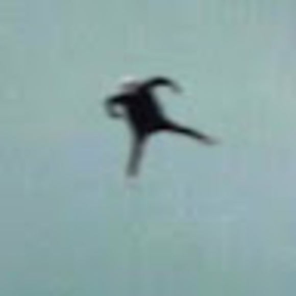 Meet your Posher, D - Picture 1 of 1